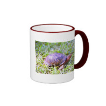 Tortue de boîte orientale Louisiane Mug À Café