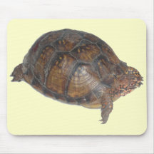 Tortue de boîte orientale tapis de souris