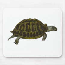Tortue de boîte tapis de souris