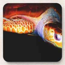 Tortue de mer 1 sous-bock