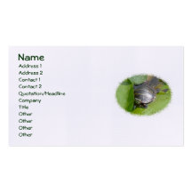 Tortue peinte par bébé sur le carte de visite de L