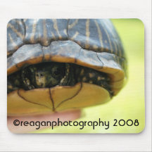 tortue, reaganphotography 2008 tapis de souris