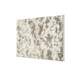 Toul Canvas Prints