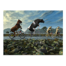 Tour de dimanche carte postale