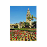 Tour de la Californie en parc de Balboa Photo Sculptures