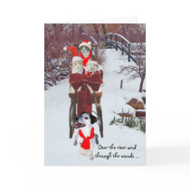 Tour de Sleigh des minous