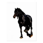 Tour soudain de chevaux carte postale