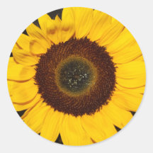 Tournesol Autocollants Ronds
