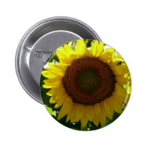 Tournesol Badges Avec Agrafe