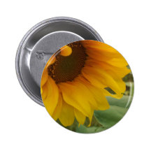 Tournesol Badges Avec Agrafe
