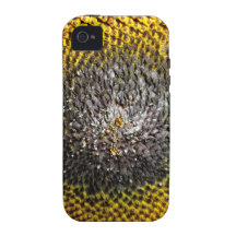 Tournesol Coque Case-Mate iPhone 4