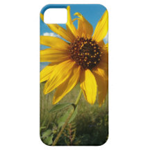 tournesol coques iPhone 5 Case-Mate