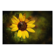 Tournesol et abeille photo