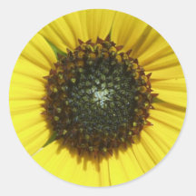 Tournesol jaune adhésif rond