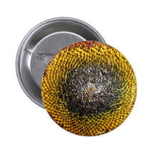 Tournesol Pin's Avec Agrafe