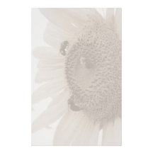 Tournesol stationnaire papier à lettre