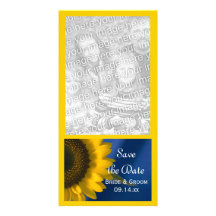 Tournesol sur des économies bleues de mariage le c photocartes