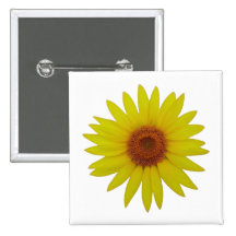 Tournesol - Tournesol (01) Badges Avec Agrafe