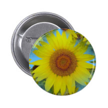 Tournesol - Tournesol Badge