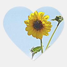 Tournesols Autocollants