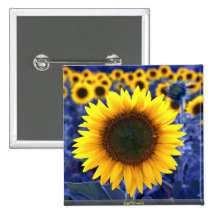 Tournesols Badges
