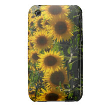 tournesols coque iPhone 3