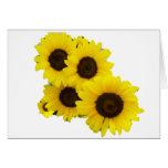 Tournesols coupés cartes