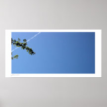 Traînée plate, branche et ciel bleu posters