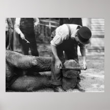 Travail de pied d'éléphant, les années 10 poster
