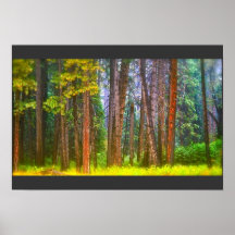 Treeline Affiche