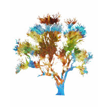 TreeShirts - Arbre-Chemises colorées exotiques T-shirts