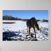 Trek van de sneeuw - Poster