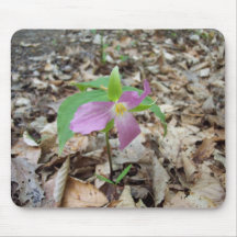 Trillium die in de vroege Lente bloeien Muis Matten