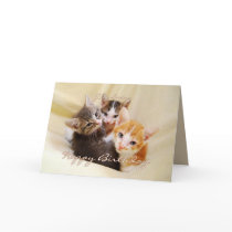 Trio de joyeux anniversaire de petit-fils des chat