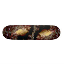 Triton nain sinistre (lurida d'Ocenebra) Shell Plateau De Skate