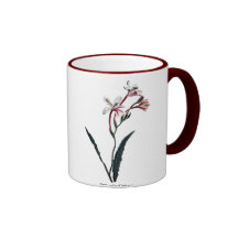 Tritonia Crispa Mugs À Café