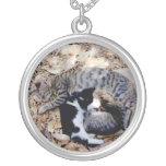 Trois chats mignons ont courbé endormi collier