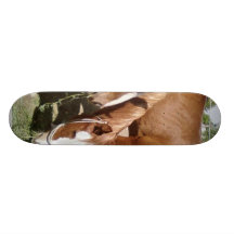 Trois chevaux skateboards personnalisés