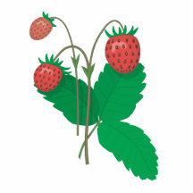 trois fraises fraîches photo sculpture