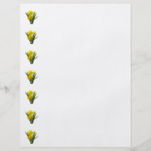 Trois jonquilles tenant la garde prospectus en couleur