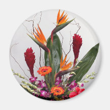 Tropical Magnets Pour Réfrigérateur