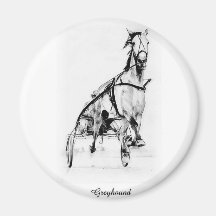Trotteur de lévrier magnets