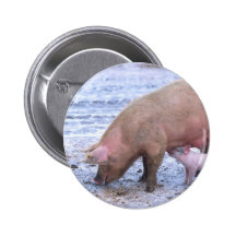 Truie et porcelet badge avec épingle