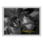 "Tu me manque…." Roses dans B&W (1) Carte Postale