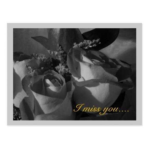 "Tu me manque…." Roses dans B&W (1) Carte Postale