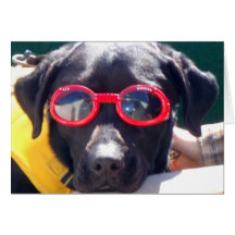 Tucker in de Hoektanden Labrador van het Behoud va Wenskaarten