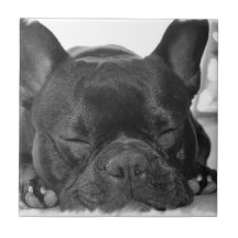Tuile de bouledogue français carreau en céramique