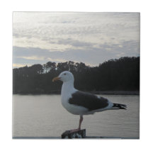 Tuile : Mouette sur le pilier, baie de San Simeon, Carreaux