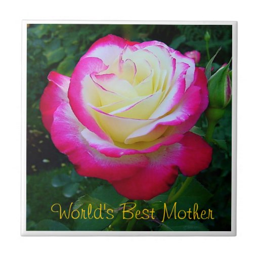Tuile rose de la meilleure mère des mondes carreaux