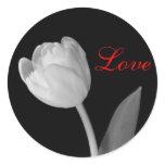 Tulipe noire et blanche, amour